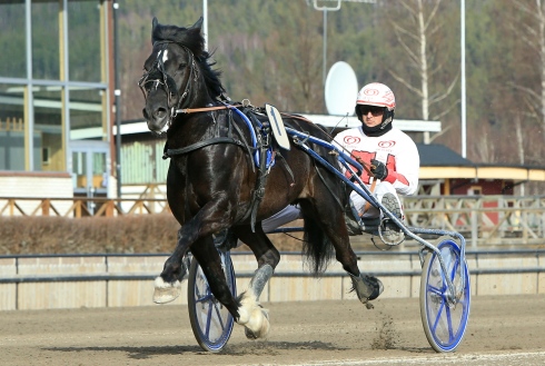image (2)